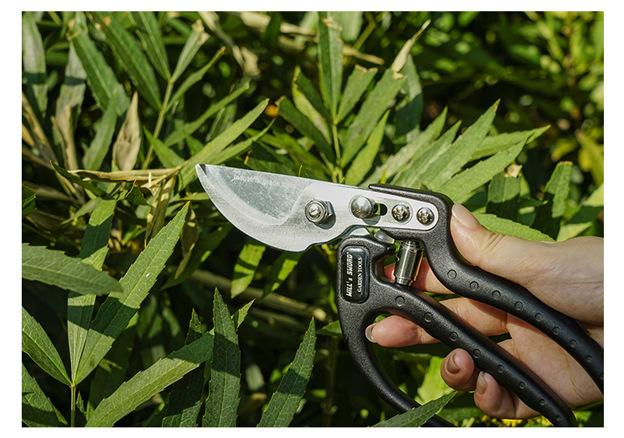 佰世园艺树枝剪修枝剪园艺剪刀果园花艺专用摘果剪园林工具剪批发详情11