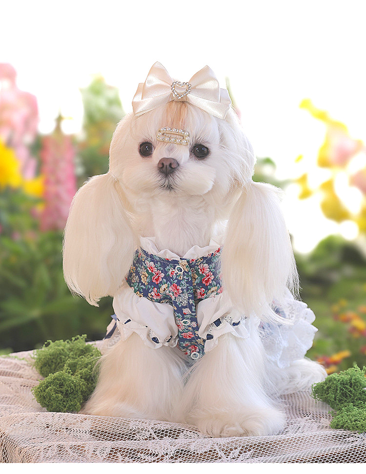 安贝妮高级感宠物衣服高定狗狗碎花泰迪小型犬茶话会小狗公主裙详情21