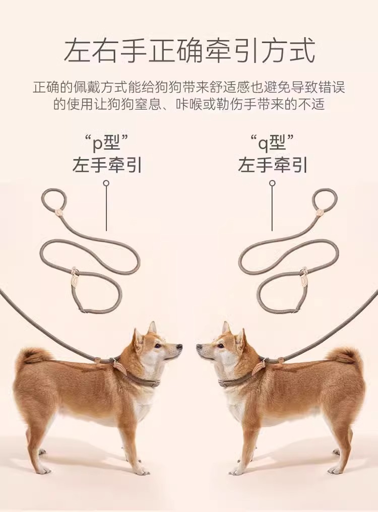 狗狗绳子防爆冲P链遛狗牵引绳防挣脱狗链子中大型犬防爆冲拴狗绳详情41