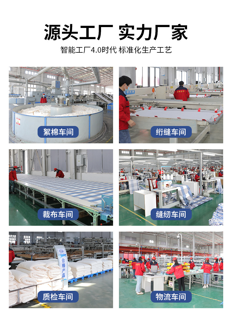 新疆棉被纯棉花被棉絮被子冬被全棉被芯被褥床垫垫絮褥子加厚保暖详情4