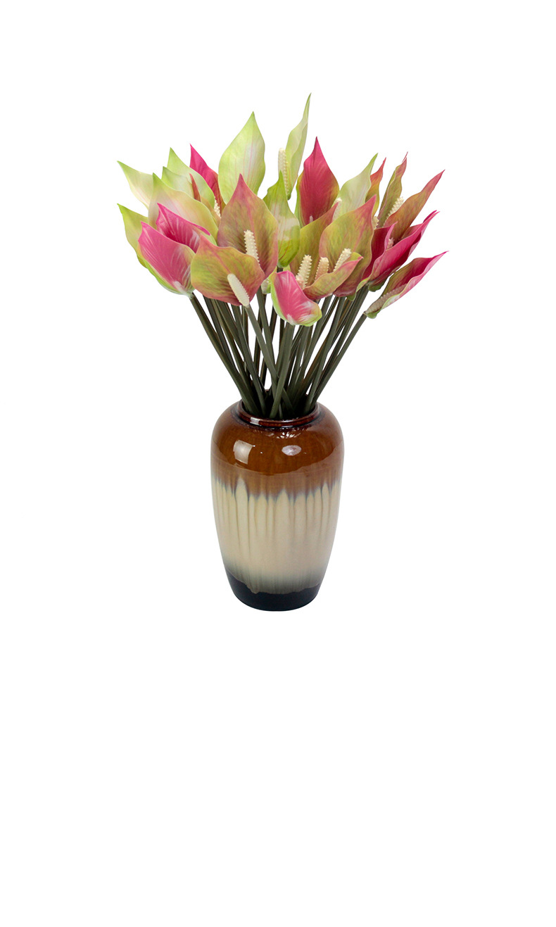 Floral decoration, potted plants, green plants, indoor ornaments, succulents, combination potted plants pic 9