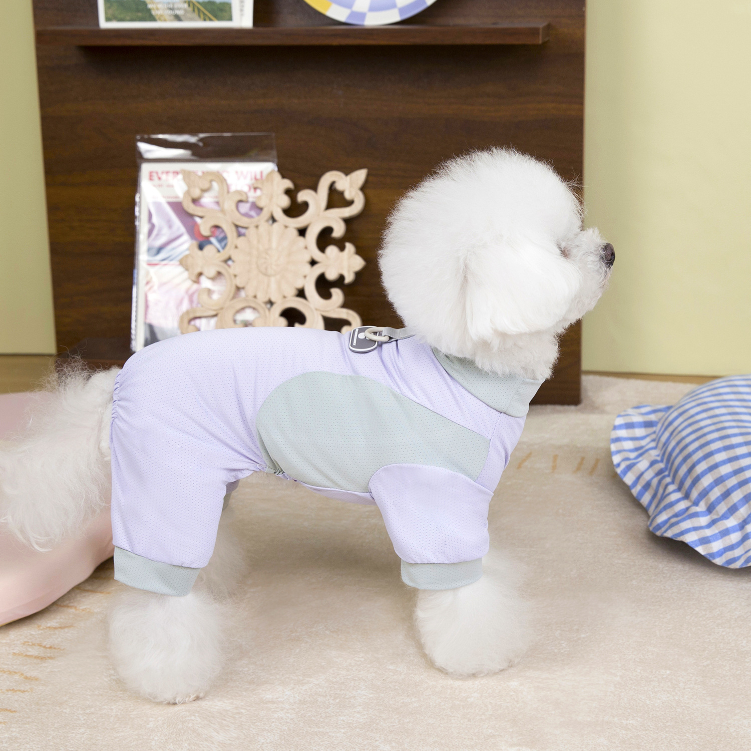 宠物服装三件套猫狗衣服冬季粉色紫色蓝色拼接带字母爪印宠物猫猫狗衣服套装详情8