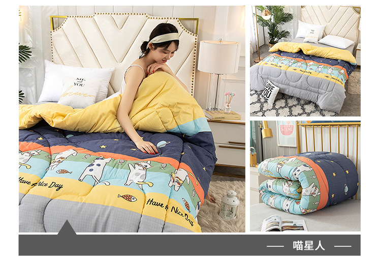 Wholesale of spring and autumn quilts, thickened and warm winter quilts, and single and double student winter quilts for all four seasons pic 28