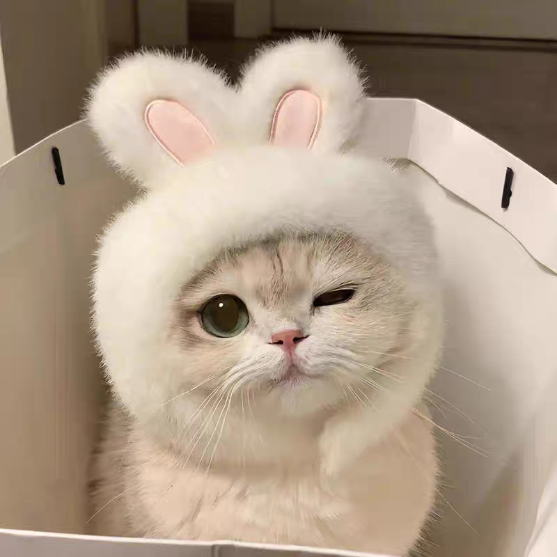 跨境宠物帽子装饰头套毛绒变装小狗狗猫咪比熊可爱拍照头饰搞怪详情9