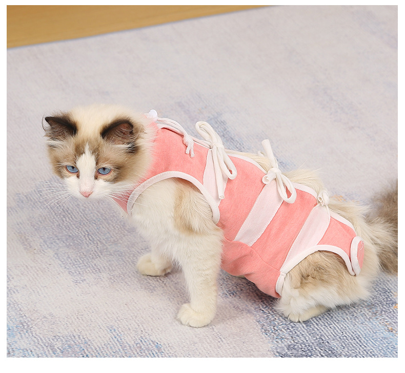 狗狗猫咪绝育服防脱防抓术后透气断奶服可调节猫衣服宠物绝育服详情11