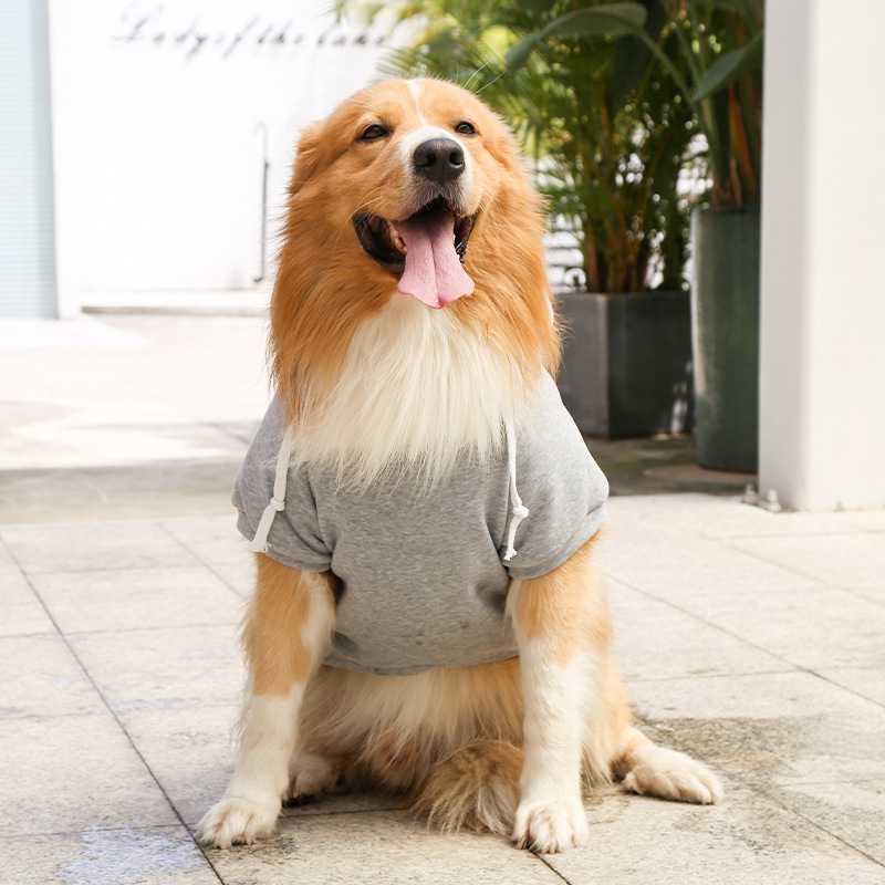 Otoño e invierno peluche de oro cremallera de bolsillo sudaderas grandes y medianas para perros perros ropa de gato fardo suministros para mascotas pic 15