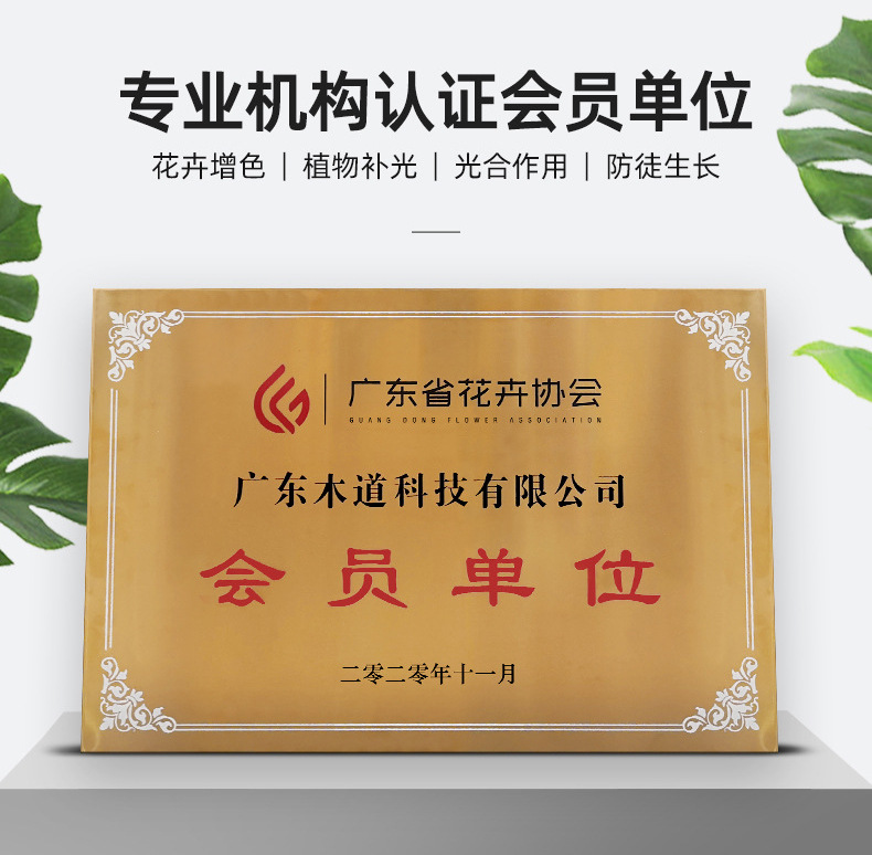 led sunlight-imitating flower and green plant supplementary lighting, indoor balcony potted plant floor-standing full-spectrum growth lamp pic 2