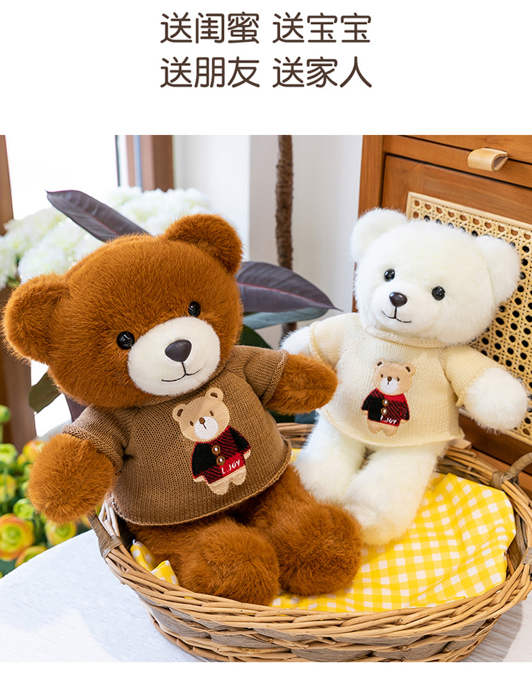 毛衣泰迪熊公仔毛衣百变小熊毛绒玩具情人节送女生布娃娃礼物熊送详情16