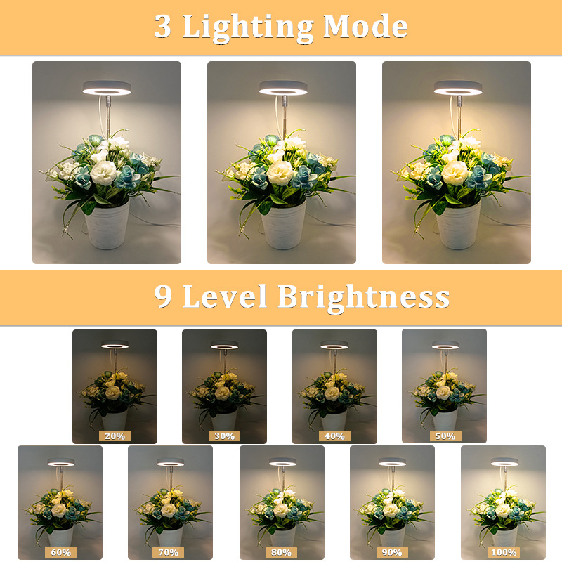 Amazon private model angel ring succulent fill light USB coloring full-spectrum LED flower bonsai plant light growth light pic 10