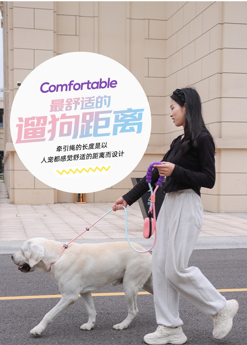 Outdoor dog leash, large dog P-chain pet leash, medium and large dog explosion-proof impact multi-functional dog walking leash pic 8