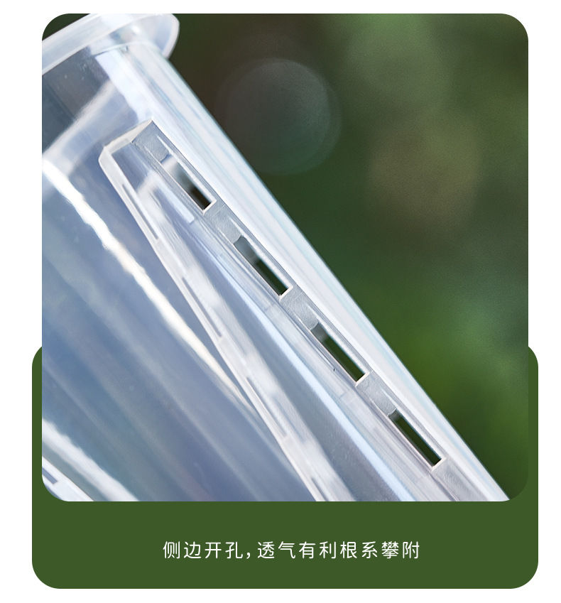 新款蝴蝶兰花盆控根盆透明青山盆文心兰盆透明塑料透气花盆兰花盆详情9