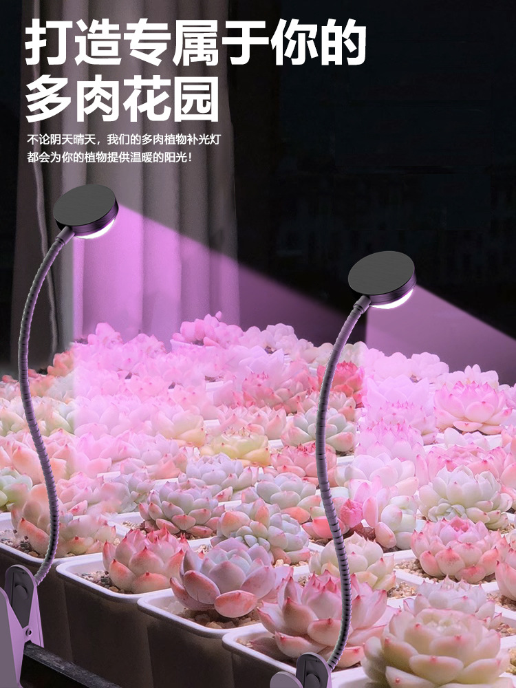 The clamps succulent supplementary light, indoor green plant and flower imitation solar full-spectrum plant growth light, is specially designed for coloring pic 10