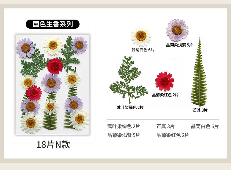 新款干花压花材料包贴脸装饰眼角写真花瓣diy滴胶相框植物标本详情23