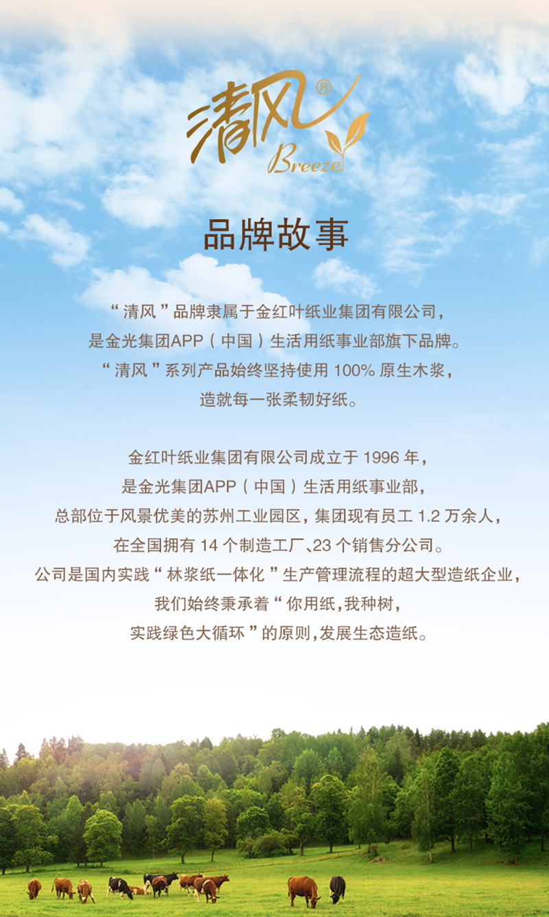 清风抽纸欧院系列3层100抽餐巾纸卫生纸家用抽取纸巾批发代发详情13