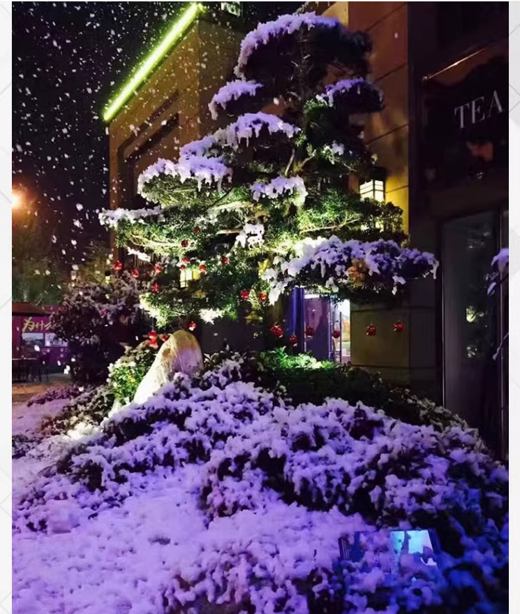 Snowflake machine, snow sprayer, small snow-making machine, wedding simulation snow magic tool, stage performance, Christmas snow sprayer pic 21