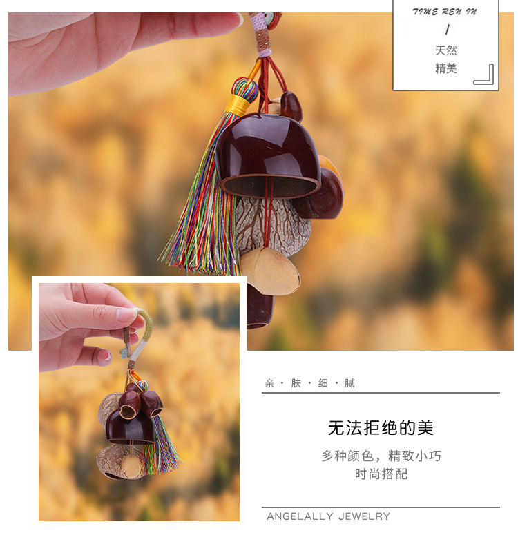 天然果壳挂铃种子（材料包）音疗挂件手工制作汽车包包钥匙挂饰详情8