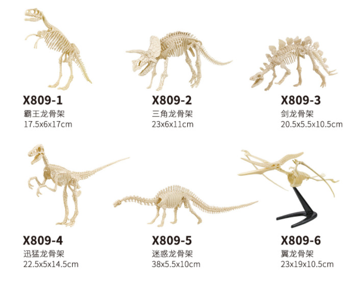热卖石膏考古挖掘仿真恐龙骨架六款DIY拆装拼装益智动手认知模型详情3