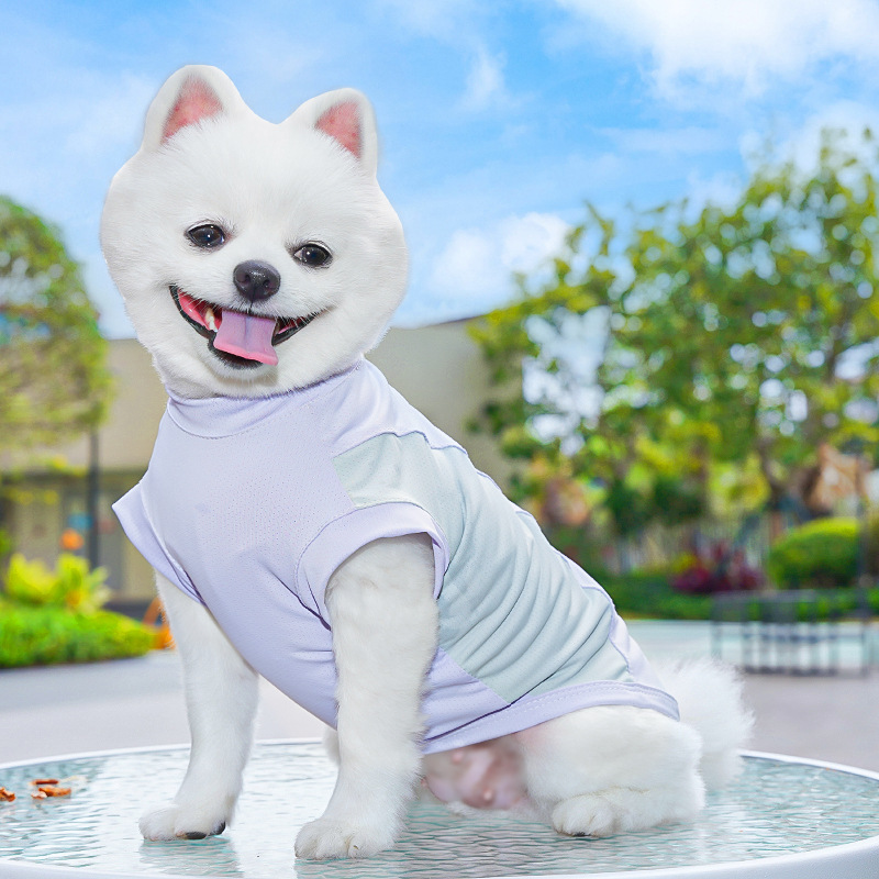 春夏季狗狗用品猫咪冰丝猫背心小中型犬外出防晒狗衣服宠物衣服详情24