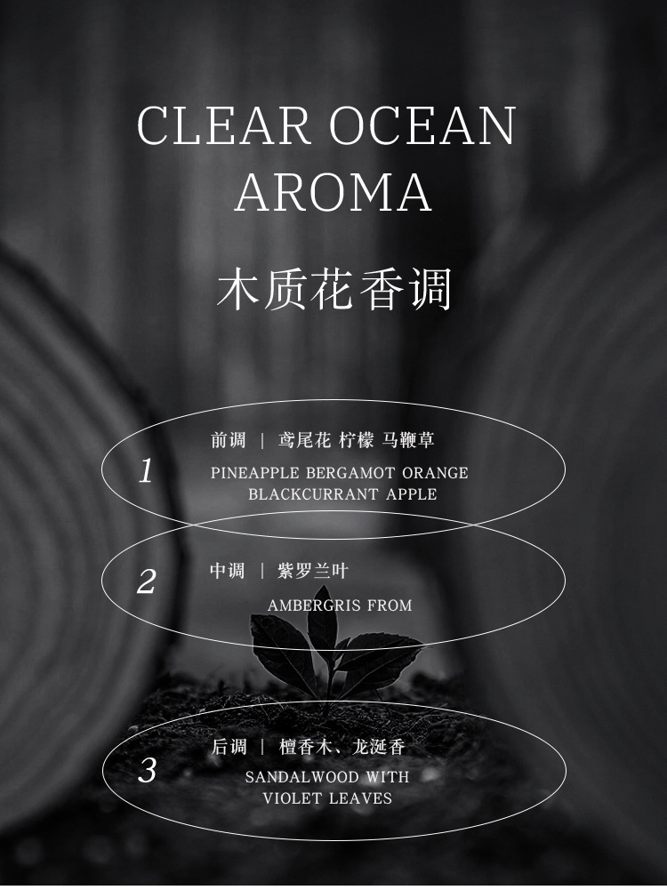 JEAN MISS香水包装盒50ml香水瓶口红管乳液瓶泵头洗发水瓶子中东风详情11