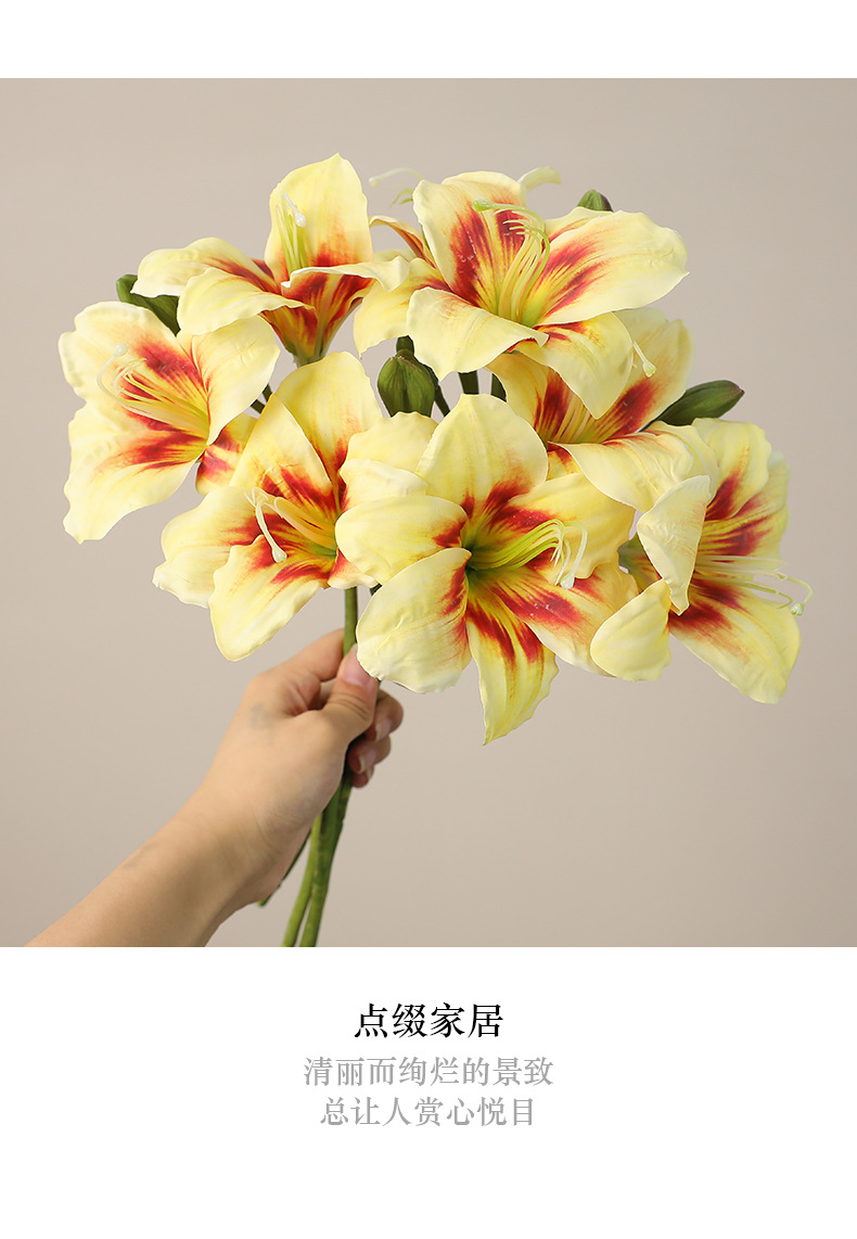 常欣两头君子兰_08.jpg
