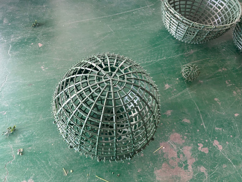 QQ图片20240724194849_副本