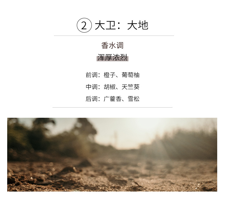 香薰蜡烛精油石膏香氛礼盒伴手礼卧室家用室内圣诞节礼物详情35
