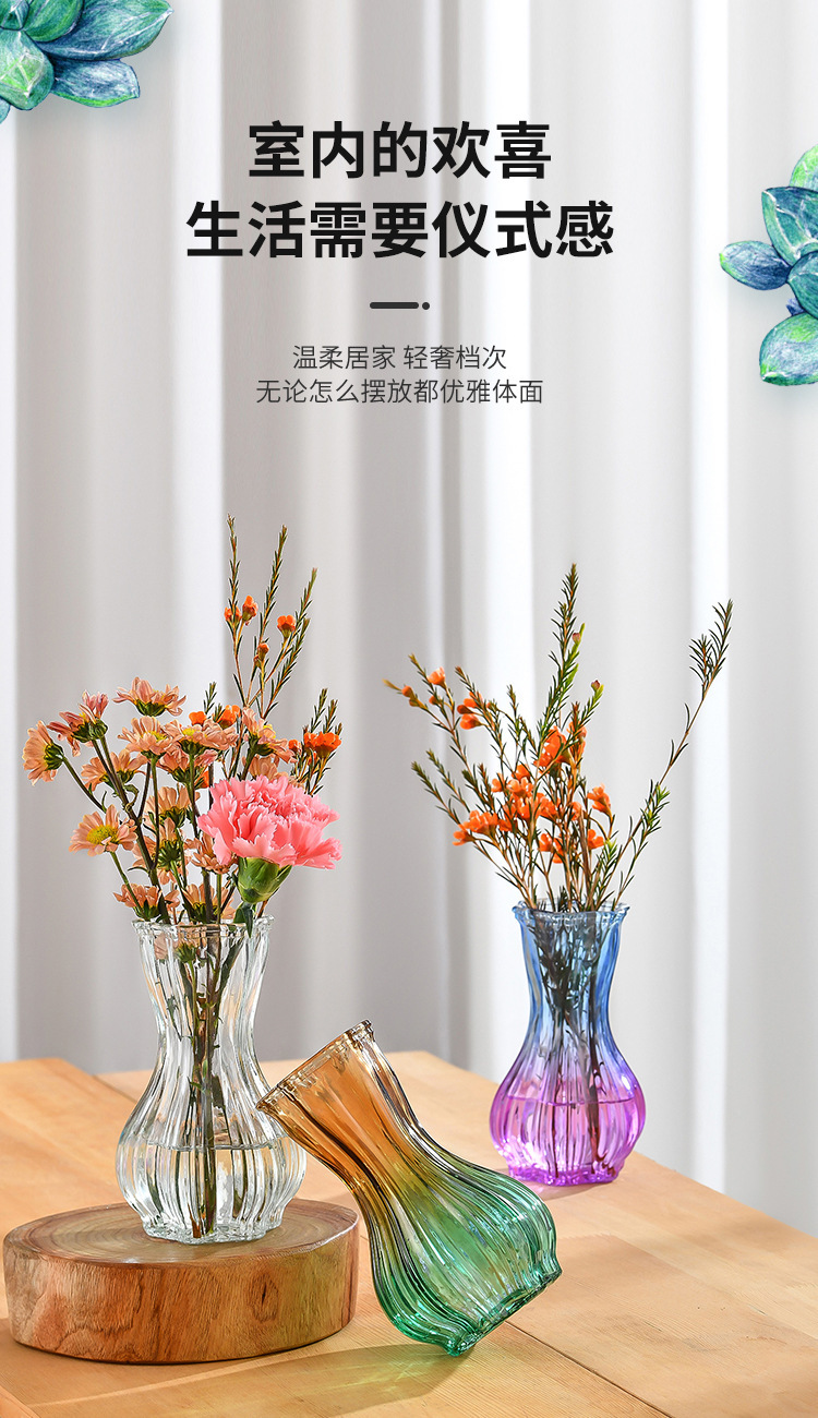 Nordic garlic-patterned glass vase with a transparent tabletop for living room decoration, ins style, high appearance level, dried fresh flower vase pic 7