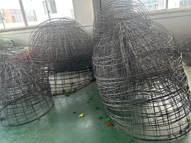 QQ图片20240724195013_副本