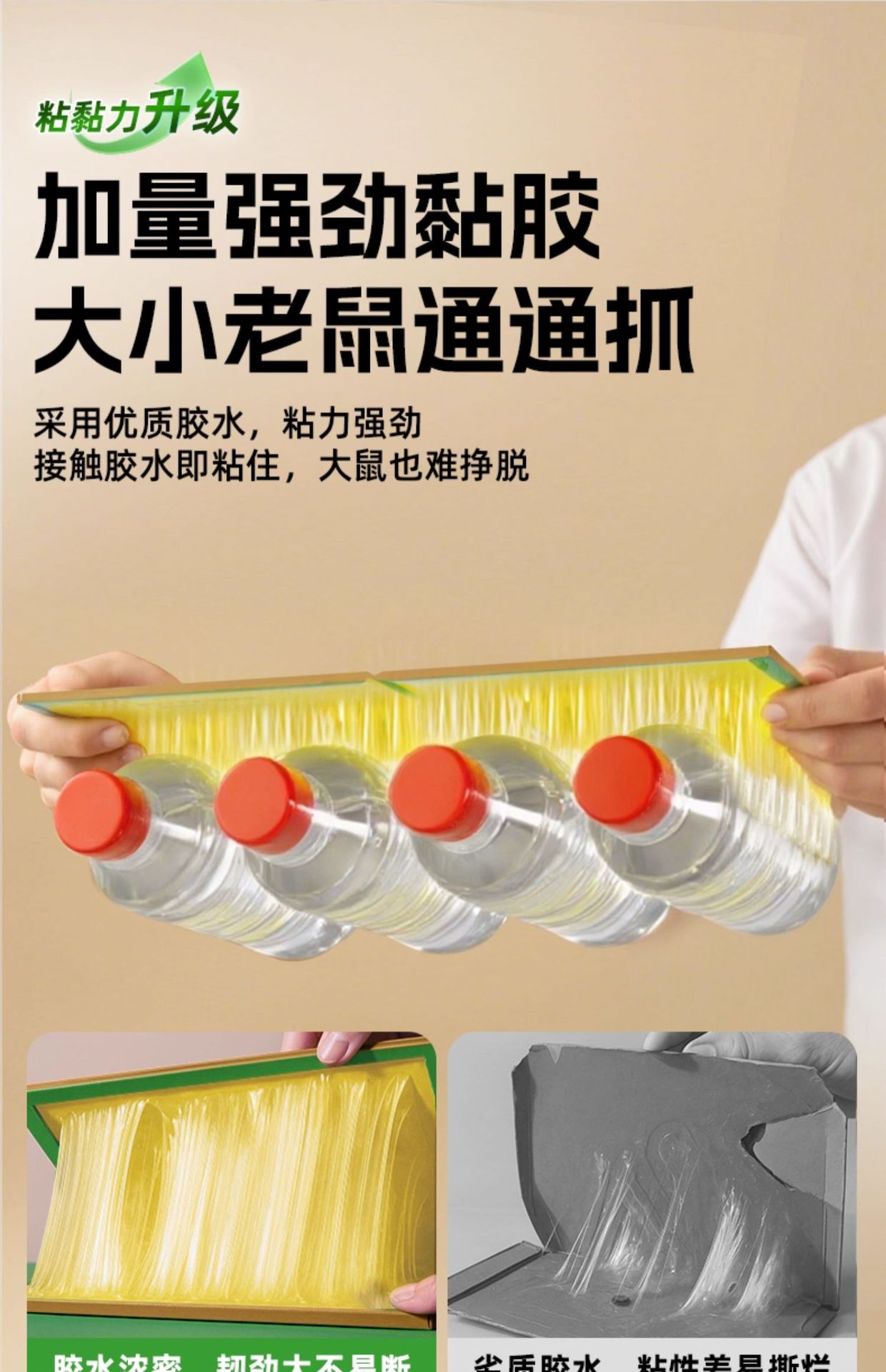 超威强力粘鼠板老鼠贴强力粘鼠贴捕鼠器灭鼠贴强力粘板自带花生香详情7
