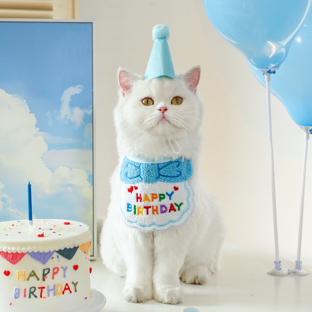 宠物ins风生日口水巾围兜围巾狗狗猫咪帽子装饰品跨境用品批发详情10