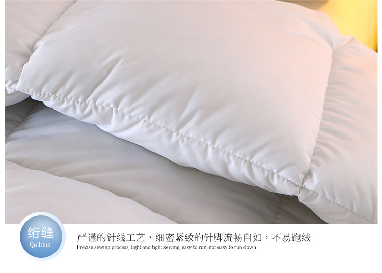 Hilton feather velvet quilt, thickened soybean quilt, winter quilt sheet, double spring and autumn quilt core, cotton quilt, gift quilt wholesale pic 14