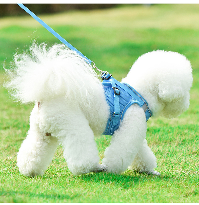 New dog chest and back pet vest style puppy leash, reflective and breathable Bichon Frise leash, outdoor dog walking leash pic 14