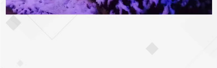 Snowflake machine, snow sprayer, small snow-making machine, wedding simulation snow magic tool, stage performance, Christmas snow sprayer pic 22