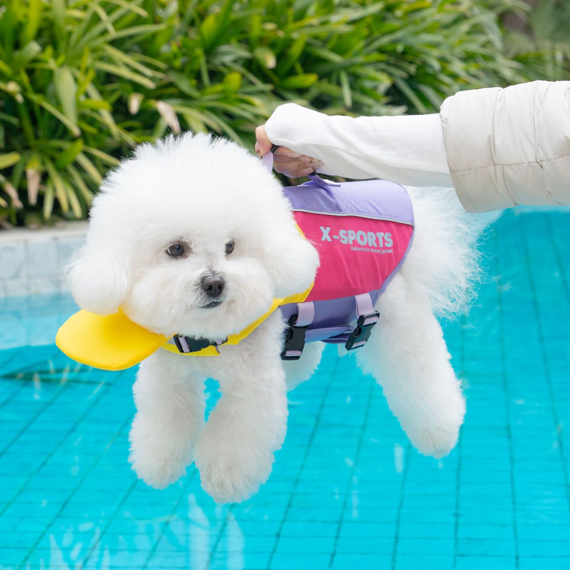 宠物项圈救生衣狗用宠物用品饰品项圈带防水透气舒适详情6