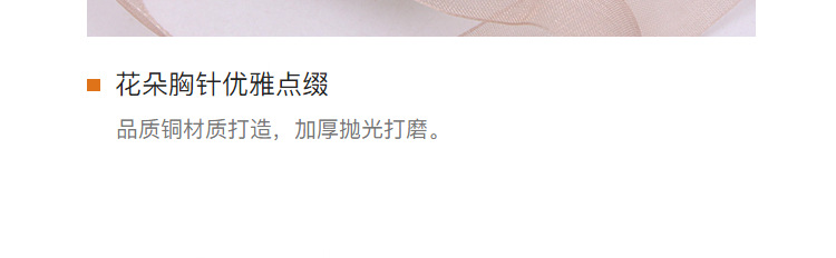 Brooch西服防走光别针时尚祖母绿高档女精致胸花高级小众胸针配件详情4
