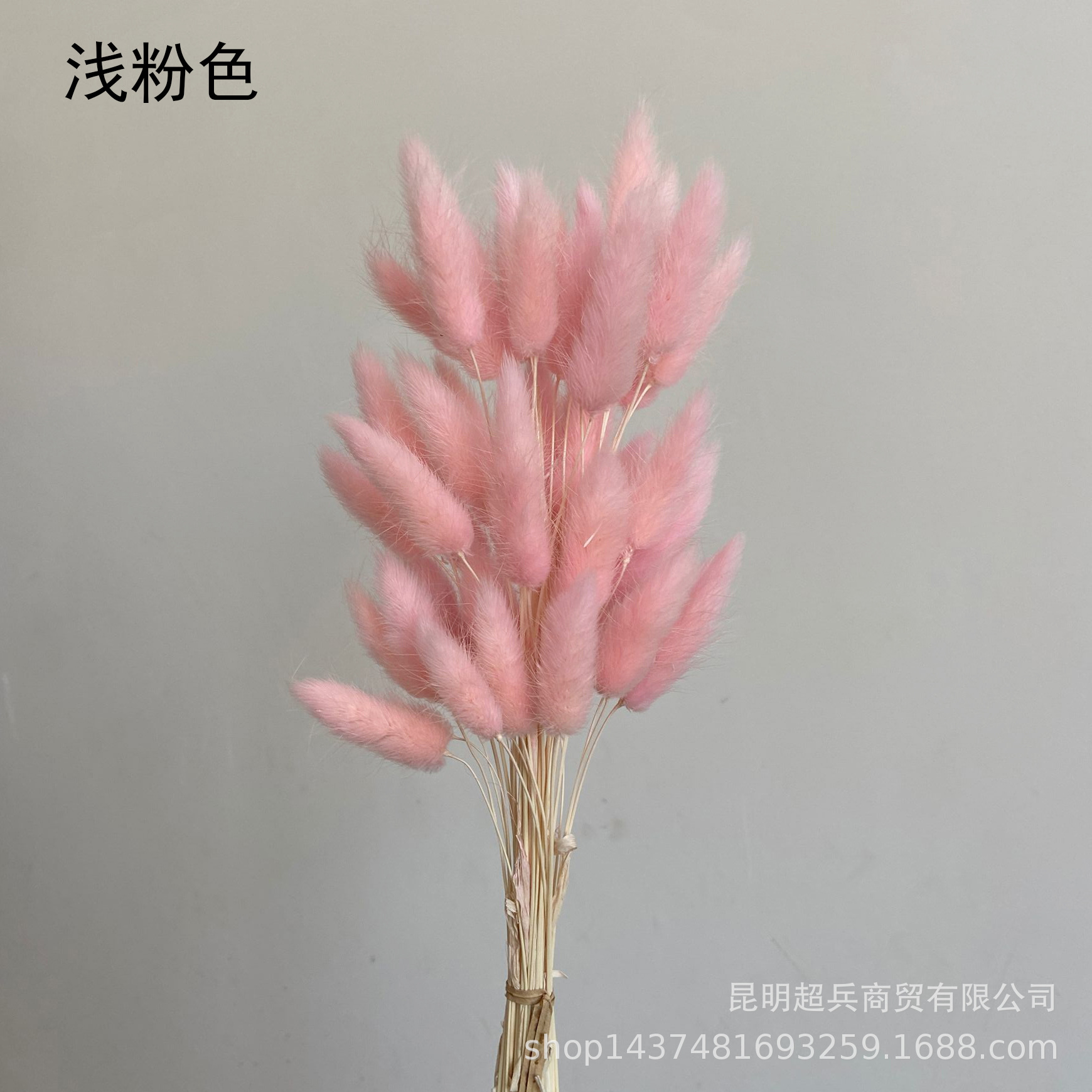 QQ图片20211210123346.jpg