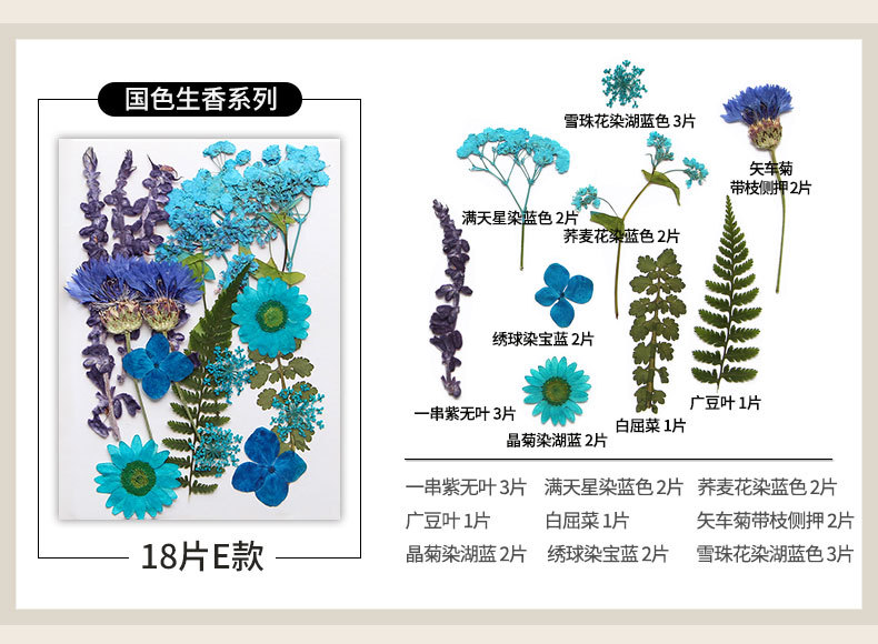新款干花压花材料包贴脸装饰眼角写真花瓣diy滴胶相框植物标本详情14