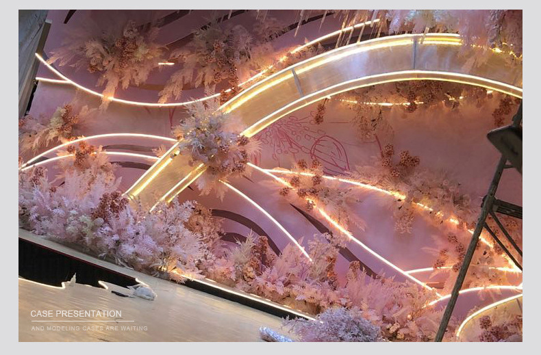 LED neon flexible light strip, 110V volt Taiwan voltage soft light bar, outdoor advertising waterproof lighting line light pic 13