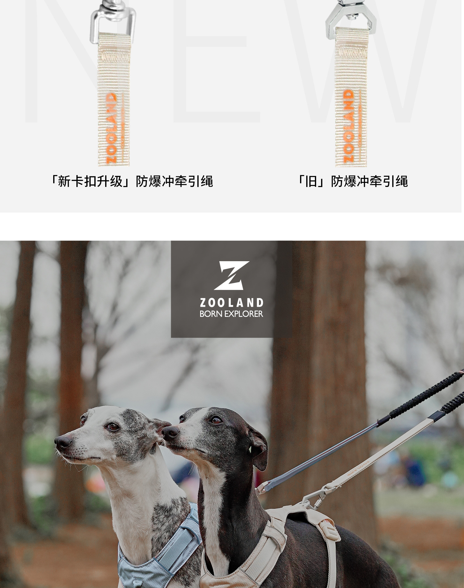 ZOOLAND狗狗胸背牵引绳遛幼小中大型犬泰迪柯基比熊边牧博美链子详情2