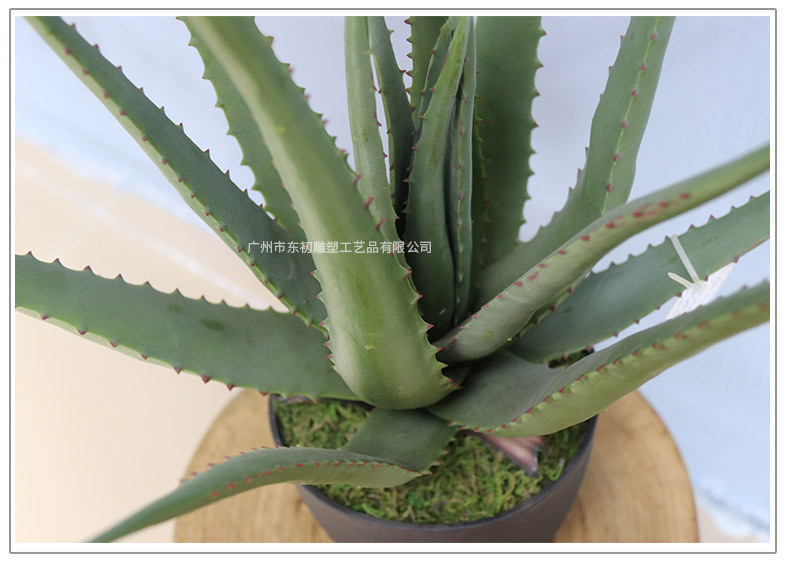 仿真芦荟小盆景摆件 家居小装饰盆栽芦荟 人造假绿植百搭装饰造景详情6