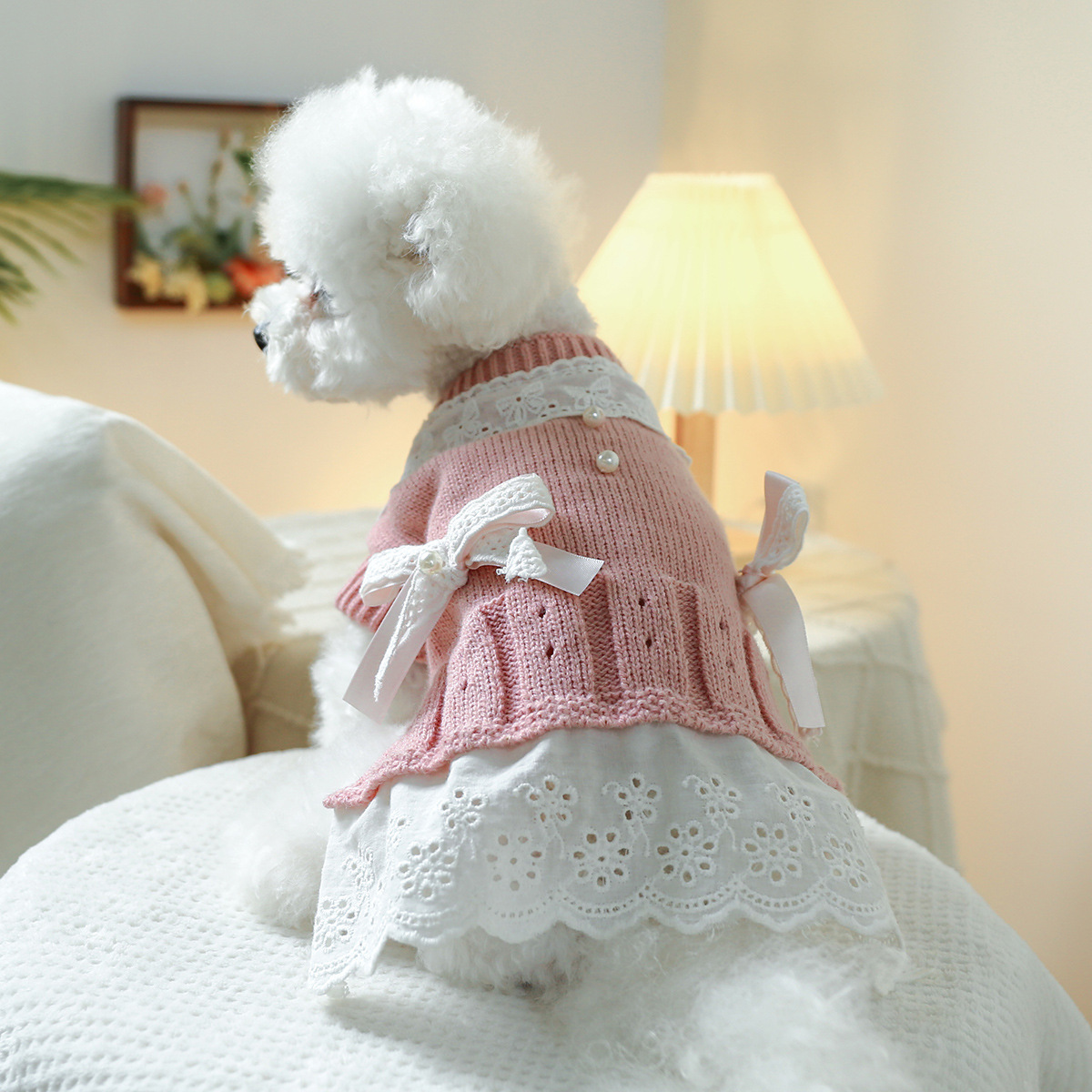 T Elegant princess cat and dog clothes, pet dog and cat warm and comfortable home clothes for autumn and winter, dog clothes, pet skirts pic 3