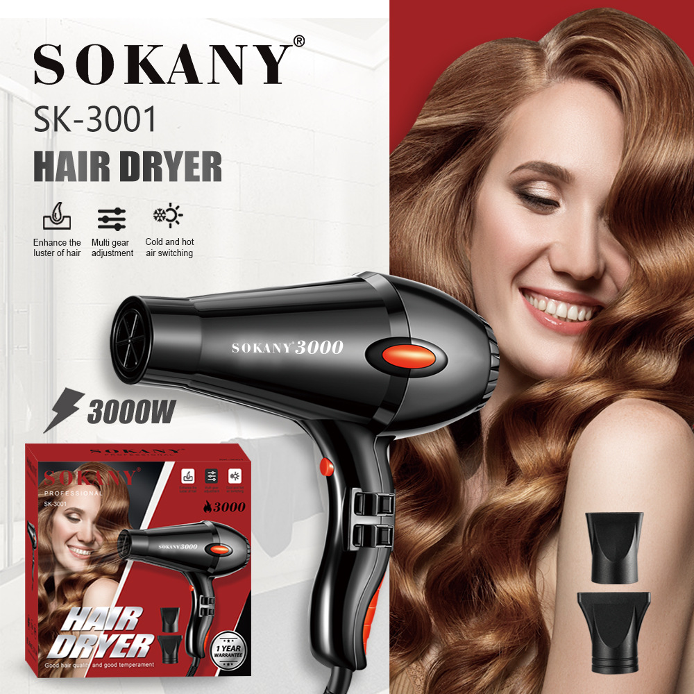 Cross-border SOKANY3001 hair dryer, household high-power hair dryer, 2-speed adjustable cold and hot air dryer pic 2
