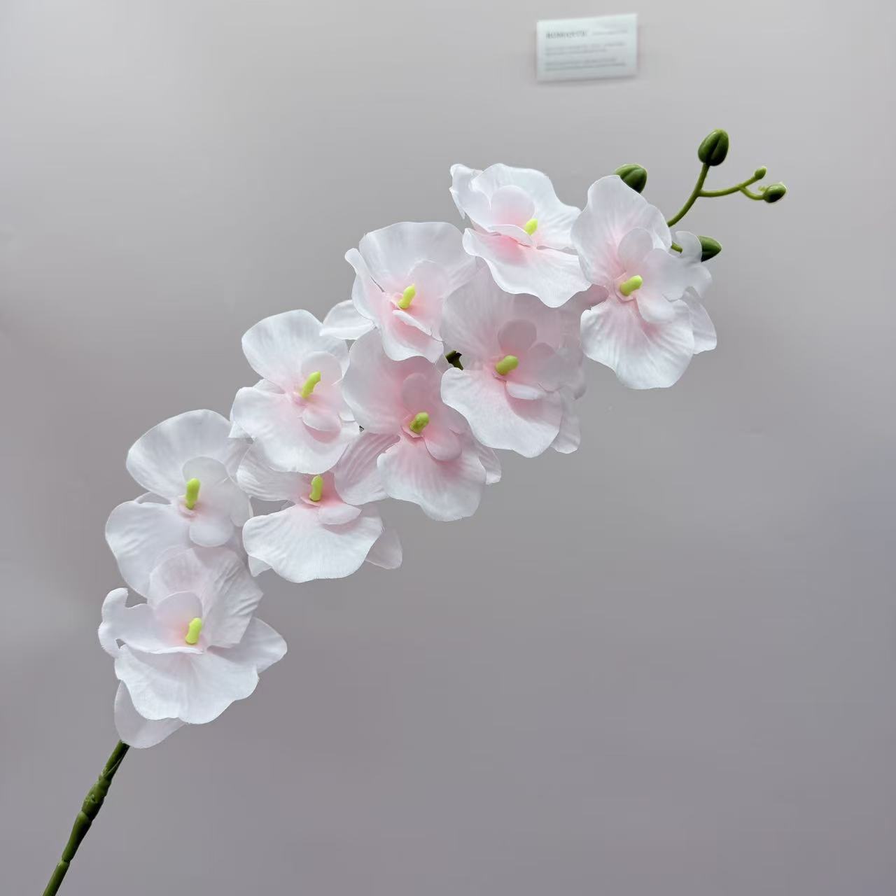 跨境仿真蝴蝶兰9头绢布客厅插花仿真花婚庆路引布景吊顶假花批发详情8