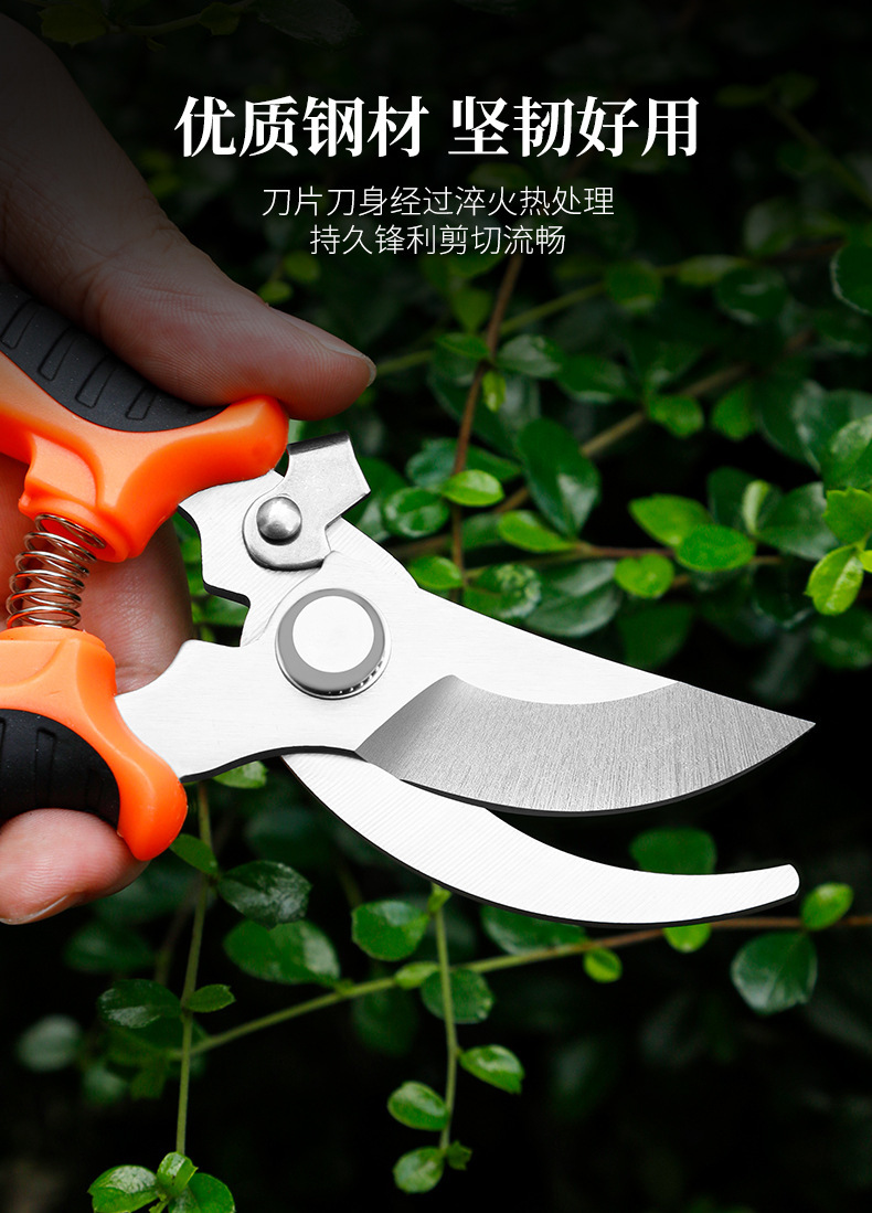 强力修枝剪果树粗枝剪刀家用省力园艺剪枝的剪园林树枝剪剪枝的剪详情5