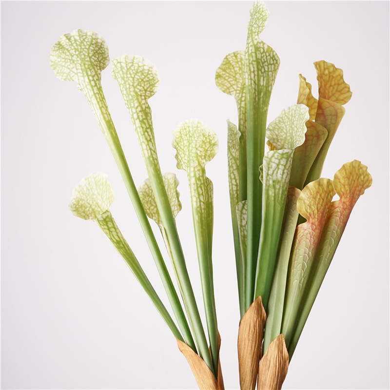 瓶子草高级感is简约风仿真花植物配件婚礼装饰批发花材花艺装饰详情8