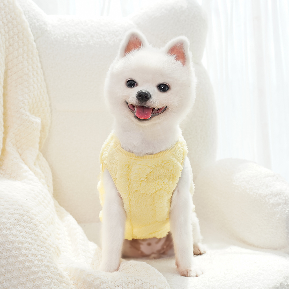 Ropa para perros invierno teddy by bears pomerania small dog mascotas otoño invierno plus peluche tracción peluche suministros para gatos pic 9