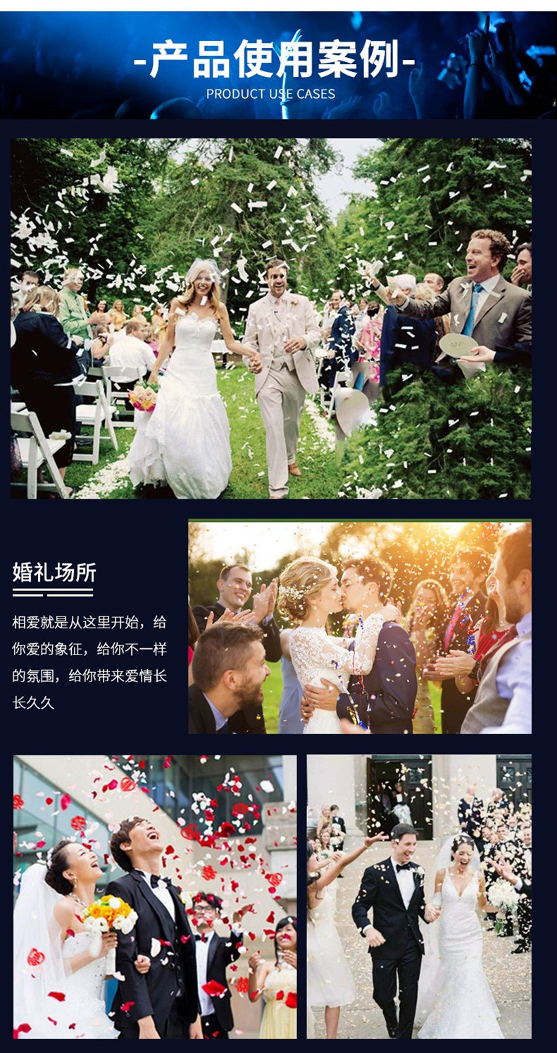 二氧化碳气动彩虹机庆电酒吧气氛喷纸机活动彩纸机舞台气氛设备详情10