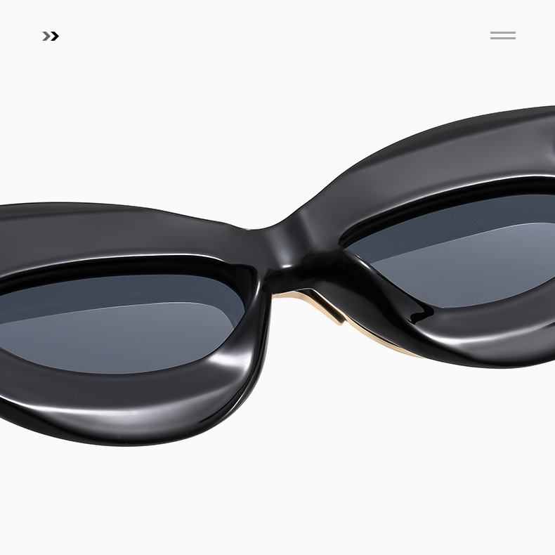 Cat-eye double-frame sunglasses for women, European and American fashion trends, hip-hop sunglasses, Instagram influencers, and exaggerated personality sunglasses pic 6