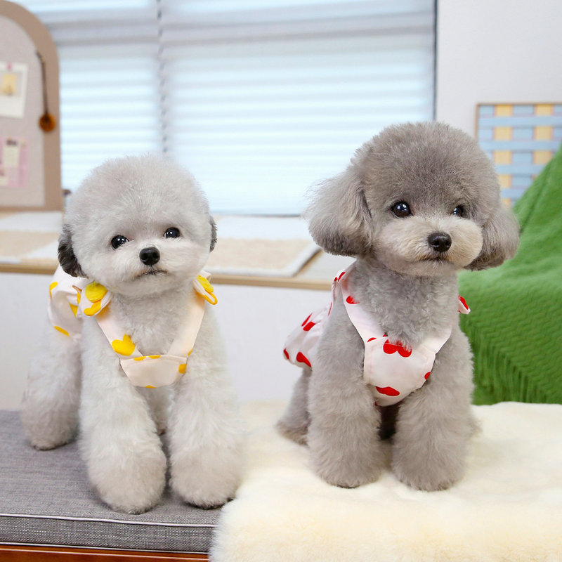 Spring and summer painted drawstring dress set, pet dog teddy Bichon Frise small dog vest style chest and back dog clothing pic 4