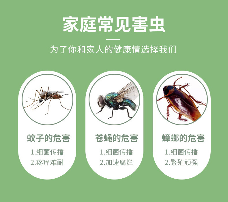 猫王无味杀虫剂600ml苍蝇蟑螂药杀虫喷雾剂家用驱蚊喷雾酒店室内详情5